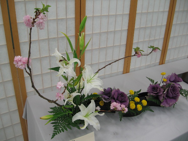 A small garden of colorful bursts and delights.