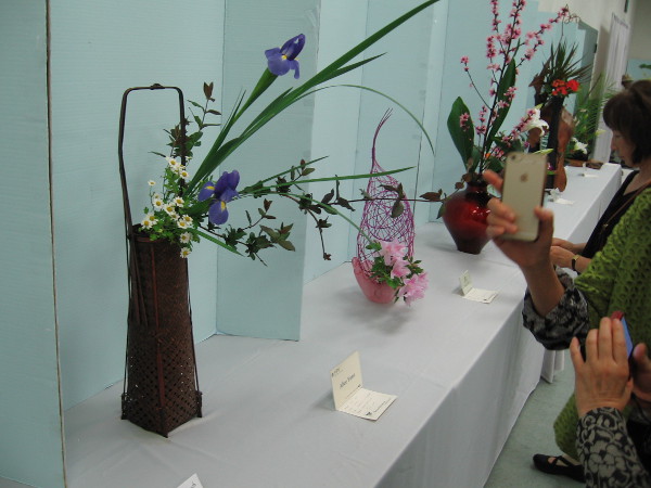 Many eyes at the ikebana show took in the jewel-like creations.