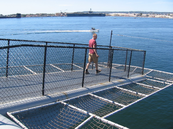 Someone else walks out to the end of one horn. At North Island across the water I see the active aircraft carrier USS Theodore Roosevelt (CVN-71).