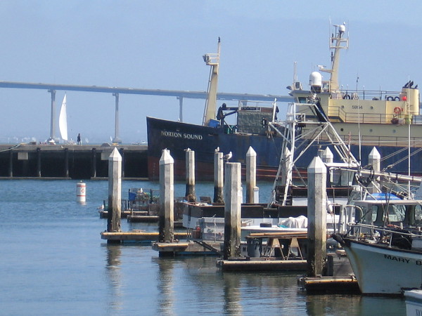 Fishing vessels docked in Tuna Harbor. A pier, sailboat and the San Diego-Coronado Bridge in the distance.