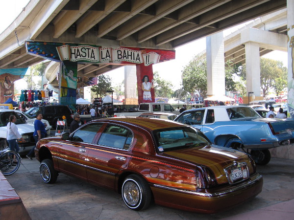 Cool cars in a world-famous park.