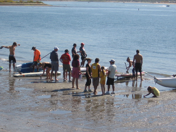 People enjoy a perfect San Diego Saturday.