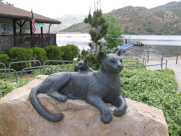 Bronze sculpture of a mountain lion and cub near the Lake Poway concession building. Pride of the Wilderness, Richard Becker, 2007.