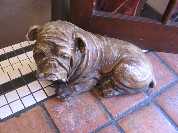 A wrinkly dog stands eternally inside the front door of Old Town's Korky's Ice Cream and Coffee.