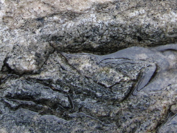 Water in the grooves of a beautifully marbled stone by the garden path.