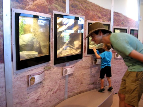 Many species of reptiles, amphibians, invertebrates and fish are on display inside the small center. There's even a mouse house popular with kids.
