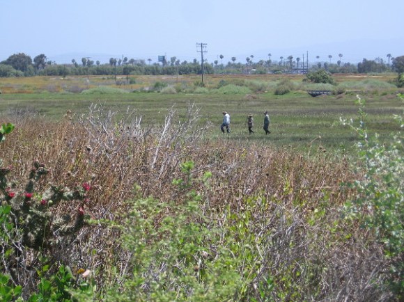 Outside, visitors can explore exhibits featuring sharks, rays, birds and tortoises. One can also look across the surrounding Sweetwater Marsh.
