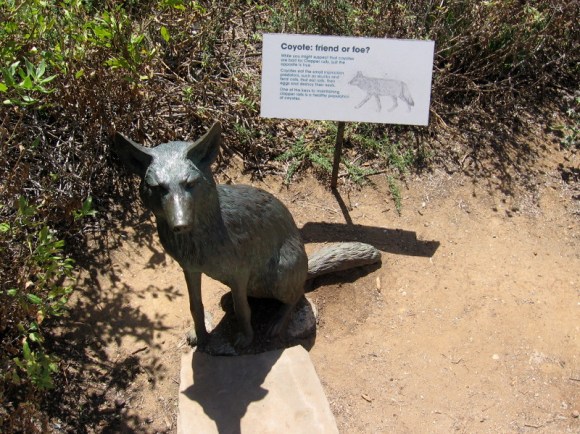 Bronze sculpture of a coyote. Many other works of wildlife art can be viewed around the center.