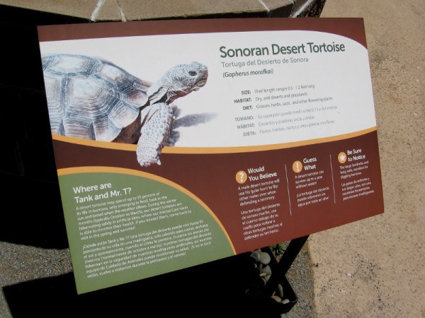 Sign near an enclosure describes the Sonoran desert tortoise.