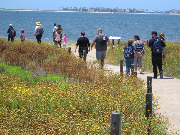 The Silver Strand and Coronado Cays can be seen across San Diego Bay.