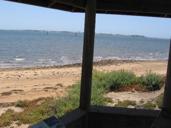I arrived at a bird observation lookout. All was very quiet. I saw a California least tern hunting small fish along the water's edge. Few people seem to come out here.