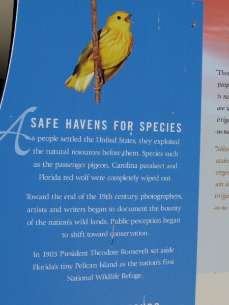 National Wildlife Refuges are safe havens for species. The first one, at Pelican Island in Florida, was created in 1903 by Theodore Roosevelt.
