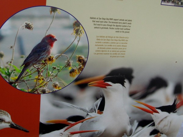 The wildlife refuge contains great biodiversity. The animals and plants are all parts of a complex and sensitive ecosystem.