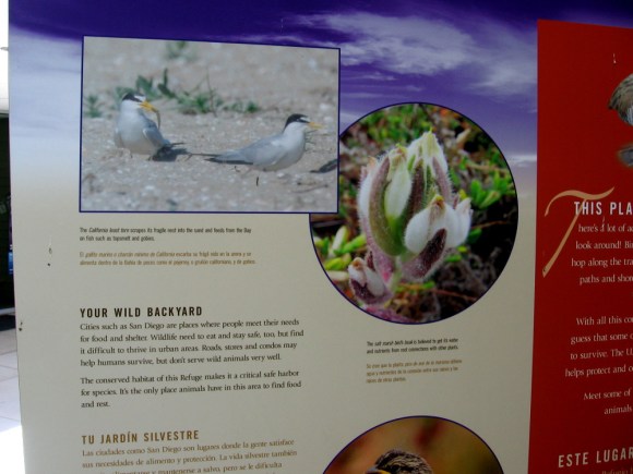 Wildlife can find it hard to thrive in urban areas. The conserved habitat of this refuge is a critical safe harbor for many native species.