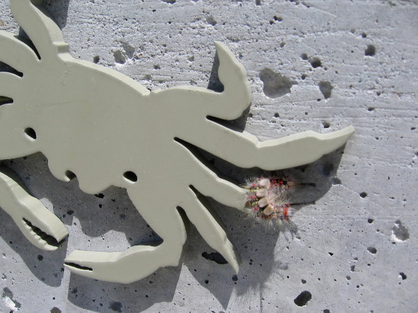 The representation of a crab underneath the bronze shorebirds is being visited by a living creature.