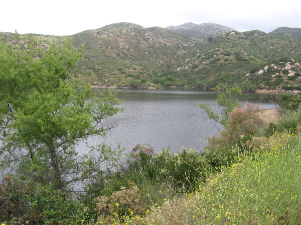 Starting up the Lake Poway Trail. The natural scenery is beautiful.