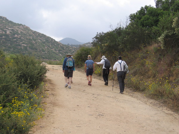 More hikers climbing skyward.