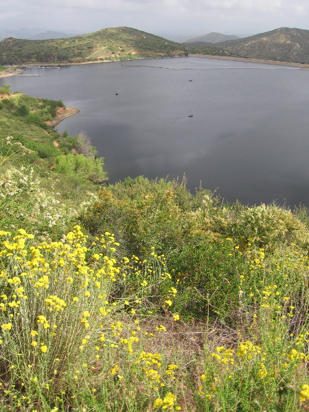 This is as far as I came. I enjoy a breathtaking view as a ray of sun comes through and touches a hill.