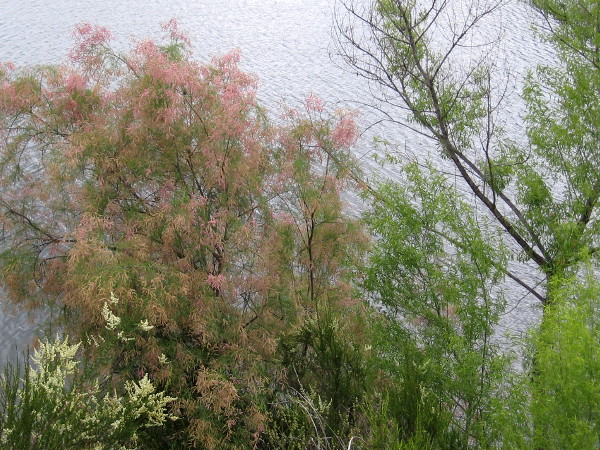 As I head back down, my eyes feast on more beauty.