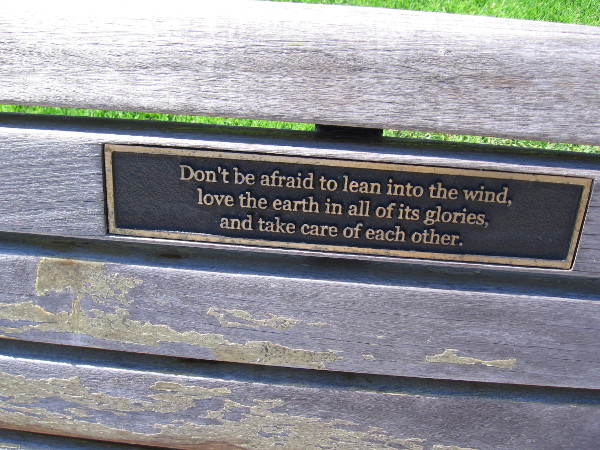 Words on one bench. Don't be afraid to lean into the wind, love the earth in all of its glories, and take care of each other.