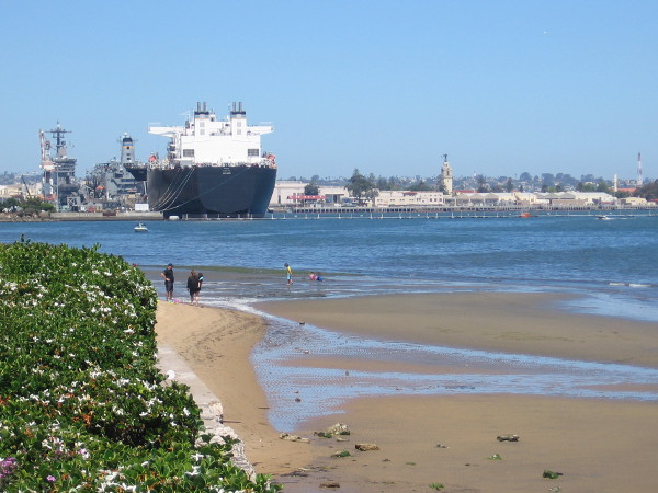 Gazing north along the bayside beach toward Navy ships docked at North Island.