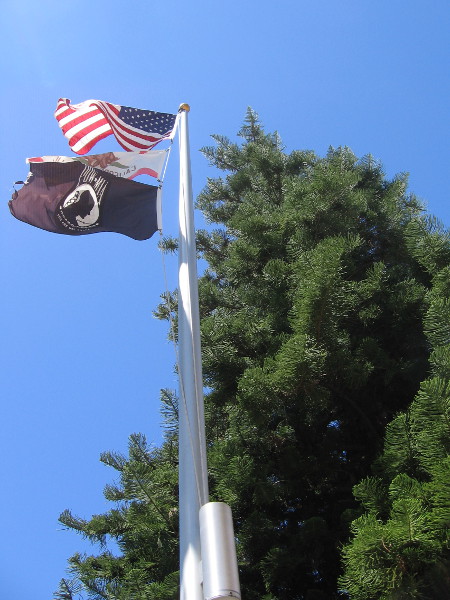 Flags by the library fly proudly on a spring day.