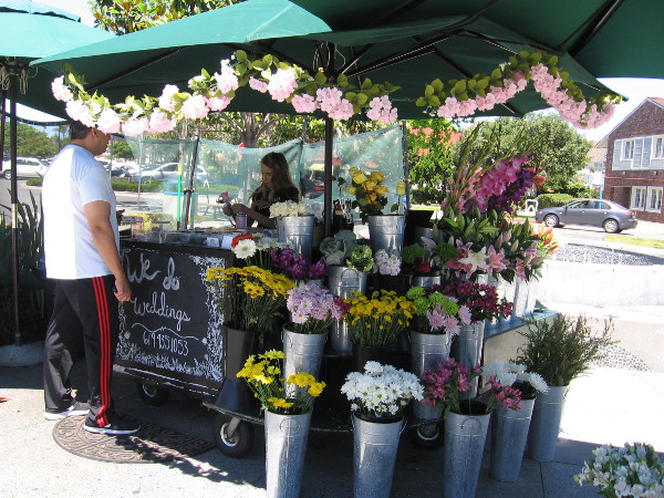 A flower vendor brightens Orange Avenue.