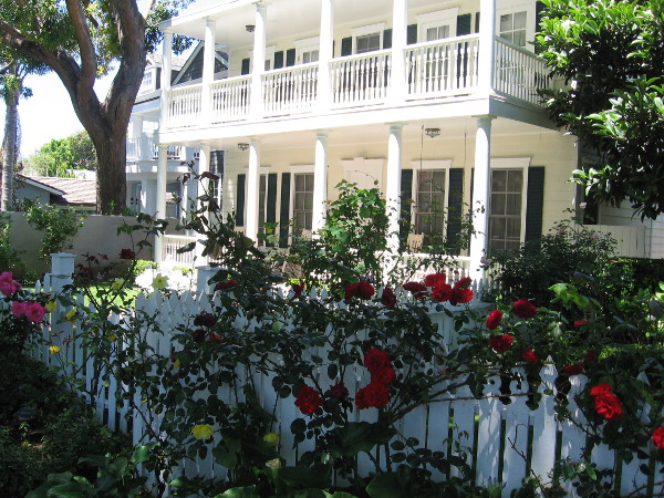 Flowers along fence of a pleasant house in affluent Coronado.