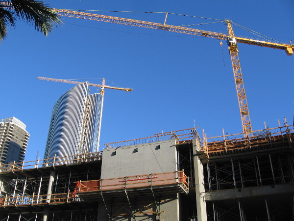 Lots of cranes are in San Diego's blue sky! A dynamic city grows and continues to evolve.