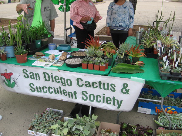 So did the San Diego Cactus and Succulent Society!