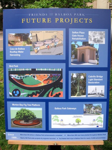 The Friends of Balboa Park has a number of great future projects. I like the idea of a platform around the giant now-fenced Moreton Bay Fig near the Natural History Museum. A platform would allow visitors to closely approach the majestic giant, while preventing the pressure of feet from compressing the soil and endangering the roots.