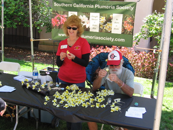 As I walked back along El Prado, I got another photo of the smiling plumeria folks.