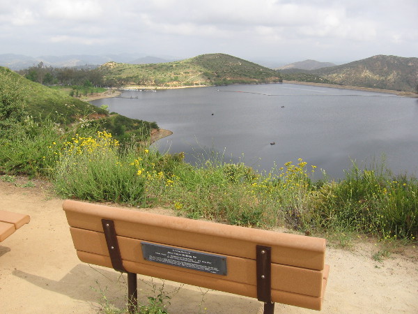 During my short hike I turned around at this bench. It's dedicated to John Finley McMinn, naval aviator who won the Distinguished Flying Cross.
