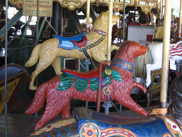 Two dogs run in circles at the Balboa Park Carousel.