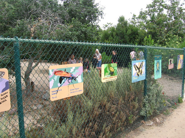 Colorful paintings of insects and other wildlife on a fence behind the Nature Center at Tecolote Canyon Natural Park.