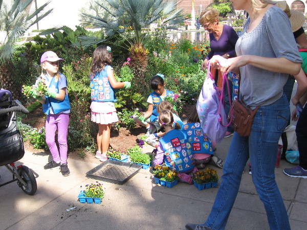 Daisy Girl Scouts plant new flowers by the reflecting pool.