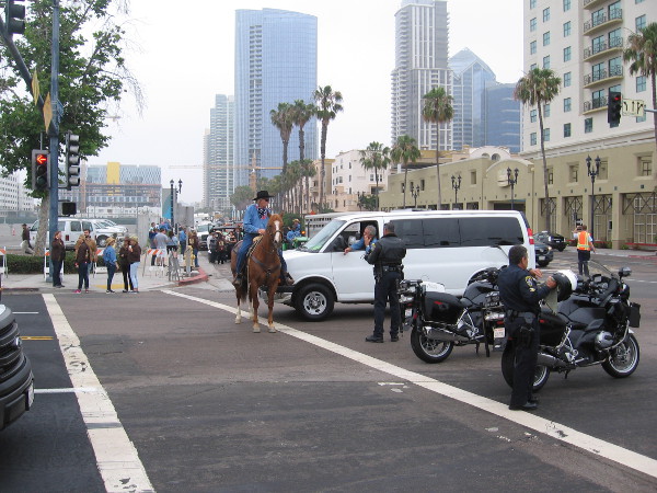 At Harbor Drive and Pacific Highway, everybody gets ready for the big cattle drive!