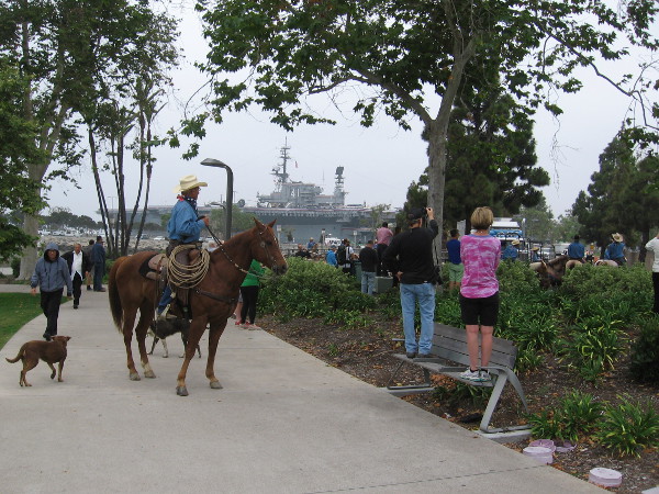 Excitement mounts nearby as the cattle drive is about to get underway.