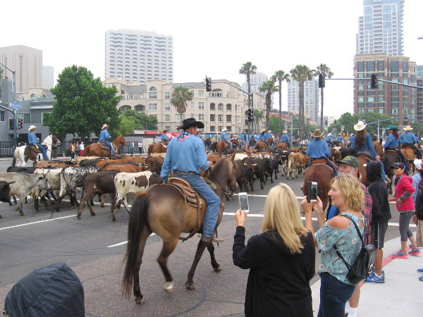 You don't see this every day!