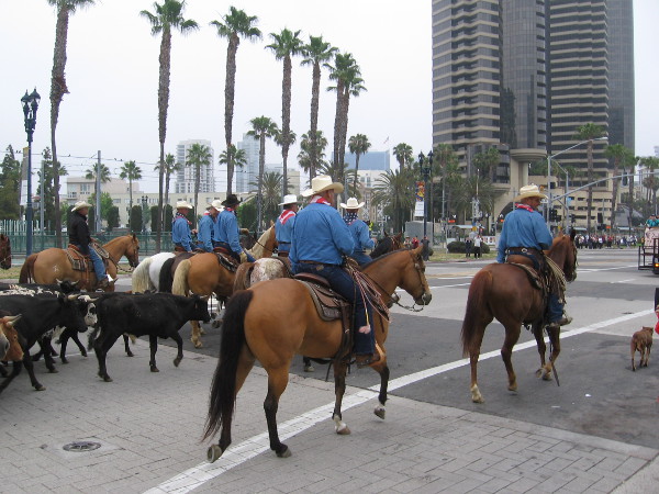 Not your ordinary Saturday morning in the big city!