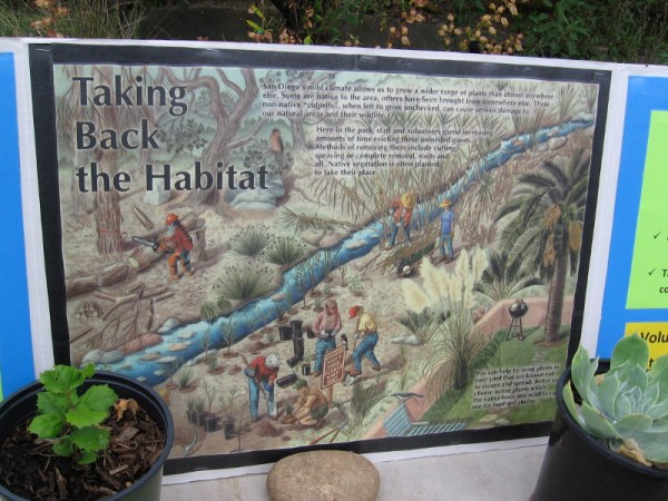 Work is ongoing to take back the native habitat from invading plant species.