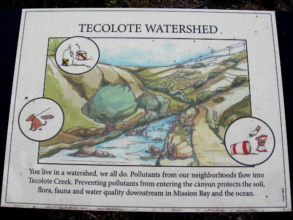 A sign depicts the Tecolote Watershed. Pollutants can flow down the creek and enter the soil, Mission Bay and eventually the Pacific Ocean.