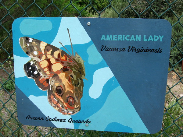 American Lady. Aurora Godinez Quevedo.