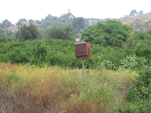 I believe this house on a post is for bats. I've seen similar boxes in other open space parks around San Diego.