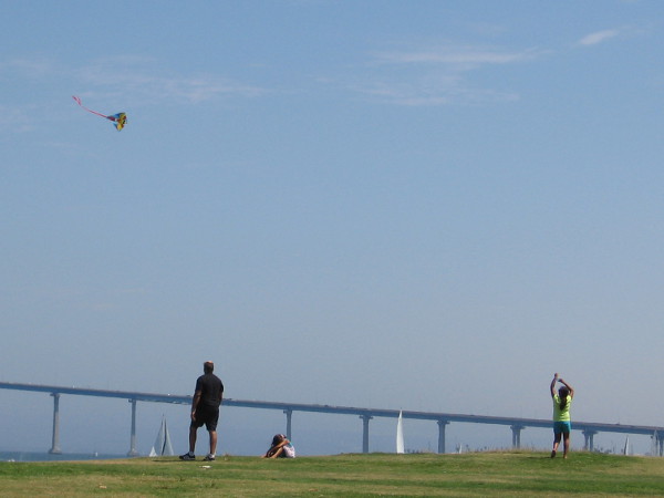 A kite high in the blue sky.