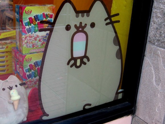 A fat cat who loves treats!