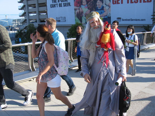 An awesome Dumbledore cosplay!