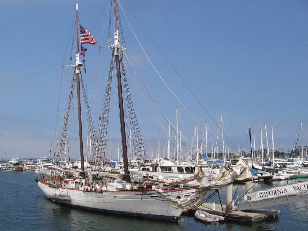 The schooner Bill of Rights, based in Chula Vista, can be chartered for fun adventures. It often participates in San Diego's annual Festival of Sail.