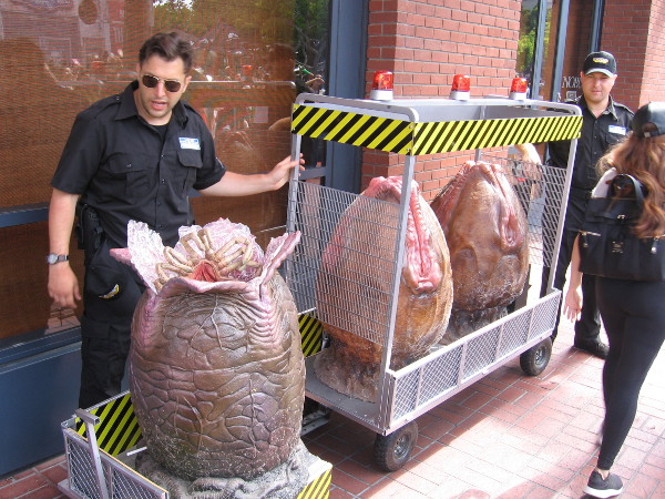 Three large Alien eggs on display. I didn't hang around because I noticed one was opening.
