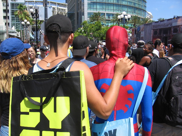 Friendly Neighborhood Spiderman has a buddy.